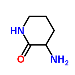 3-Amino-2-piperidinone 1892-22-4